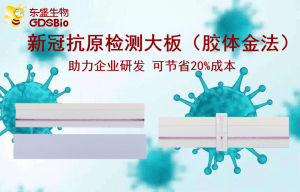 上新了！3377体育在线推出新冠病毒抗原检测胶体金大板产品