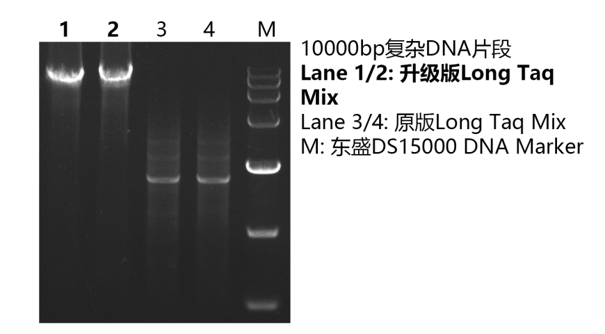 636dba69e2261