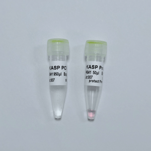 KASP PCR MixPlus