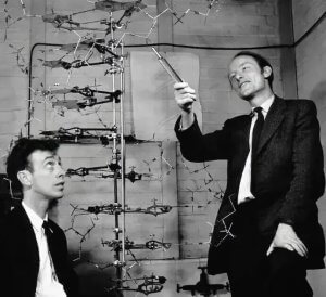 DNA 双螺旋结构的发现：科学史上的伟大突破