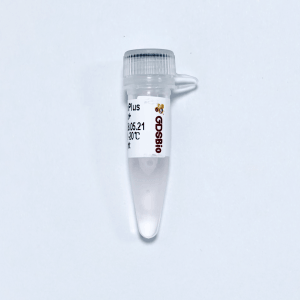GDS Fragmentation & End Prep Module K023-A/K023-B